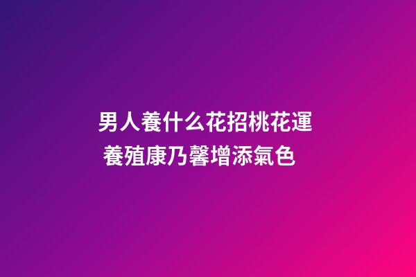 男人養什么花招桃花運  養殖康乃馨增添氣色